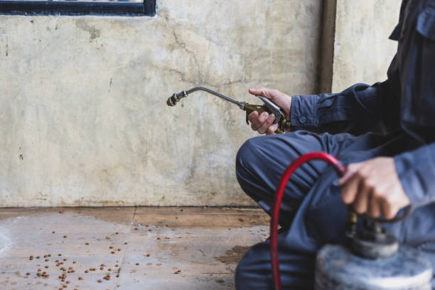 Pest Control Cost in Verdi, NV